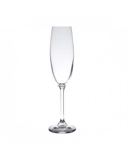 Conjunto 6 Taças de Cristal Ecologico para Champagne Gastro Bohemia